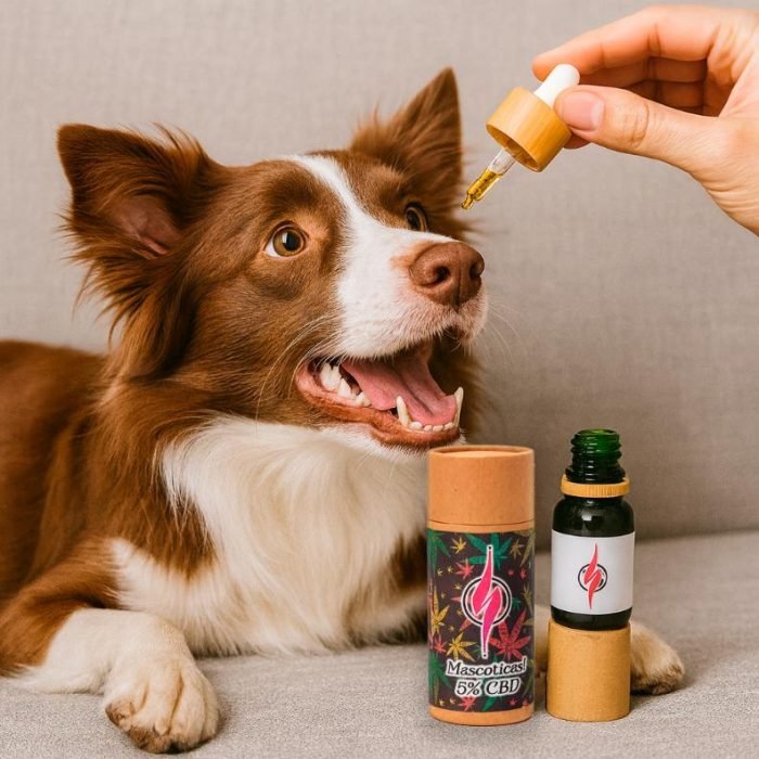 salvaje_mascotas_aplicacion